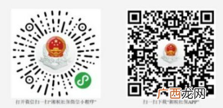 邵阳城乡居民养老保险缴费查询入口