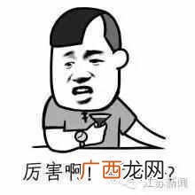 二维码怎么扫描？千万不能乱扫，警惕骗局