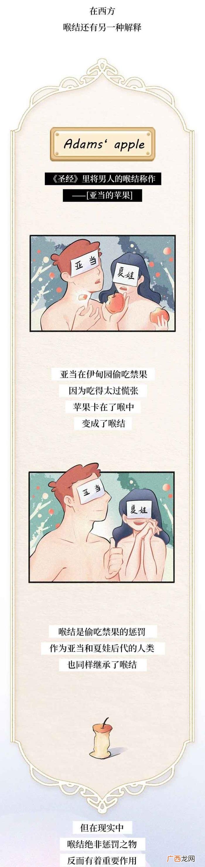 男生喉结为什么不能摸，男生的喉结为啥不能随便摸
