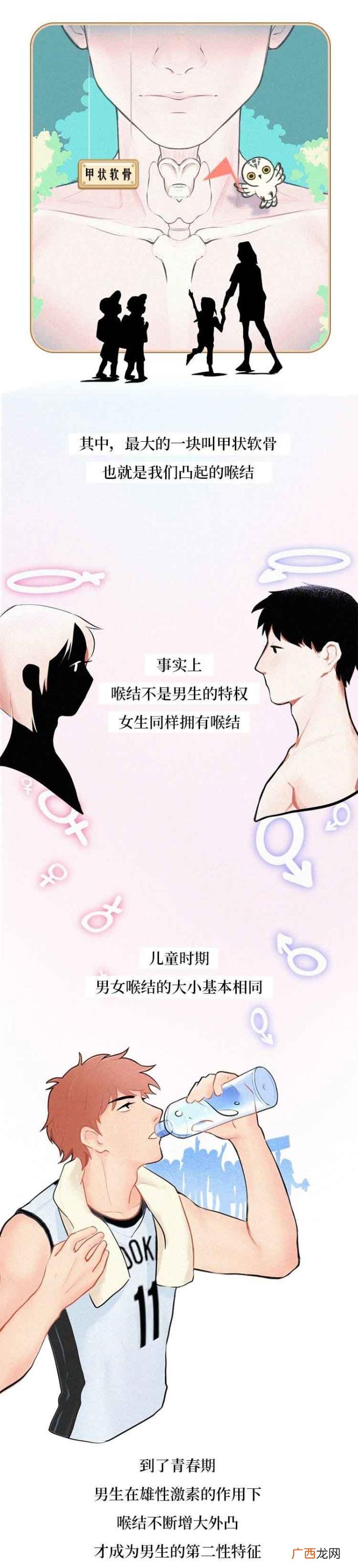 男生喉结为什么不能摸，男生的喉结为啥不能随便摸