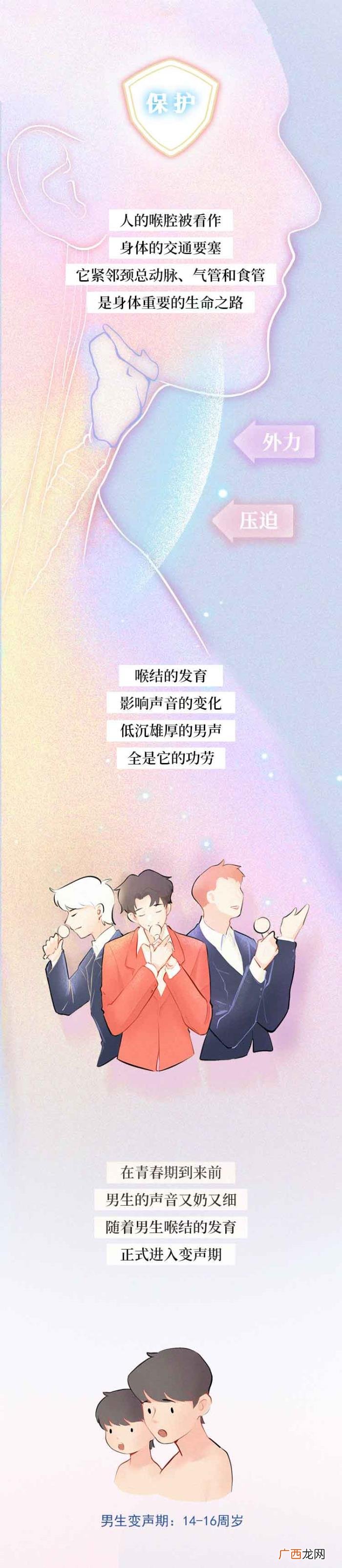 男生喉结为什么不能摸，男生的喉结为啥不能随便摸