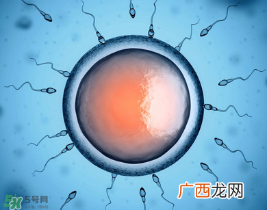 捐20颗卵子会怎么样？捐20颗卵子有什么后果？