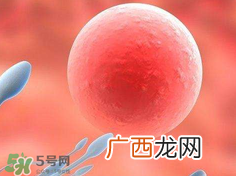 捐20颗卵子会怎么样？捐20颗卵子有什么后果？