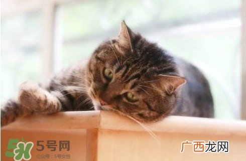 为什么身体总是觉得累？总是觉得累是怎么回事