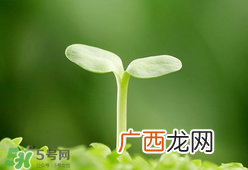 甲醛检测仪哪个牌子好？哪个牌子的甲醛检测仪好？