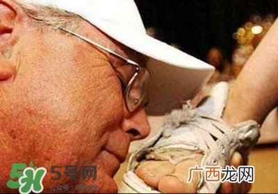 纽约举办臭鞋比赛臭鞋怎么除臭