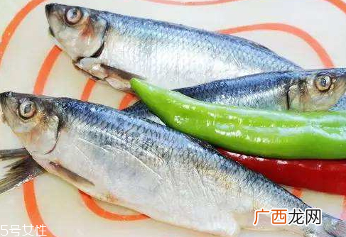 青鱼是淡水鱼还是海鱼青鱼的介绍