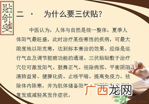 三伏贴能治什么病？三伏贴能治哪些病？