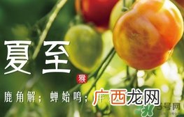 夏至是什么意思？夏至的习俗有哪些