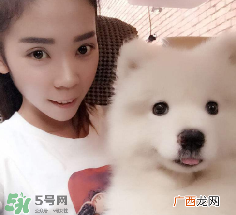 萨摩耶多少钱一只？小萨摩耶多少钱一只？