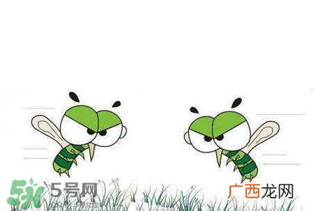 招蚊子是什么原因？招蚊子体质怎么办？