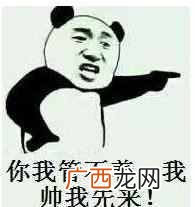 iphone主题怎么换？不需要越狱，操作就这么简单