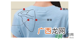 三伏贴贴在什么位置?三伏贴贴哪里?