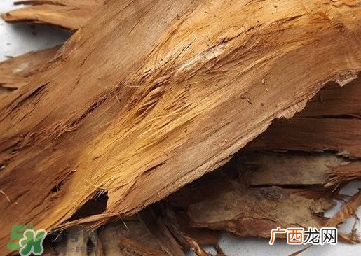 红豆杉树皮多少钱一斤？2017红豆杉市场价
