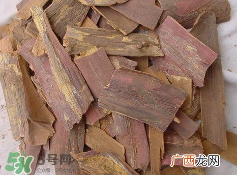 红豆杉树皮多少钱一斤？2017红豆杉市场价