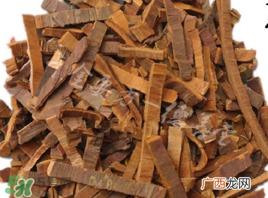 红豆杉树皮多少钱一斤？2017红豆杉市场价