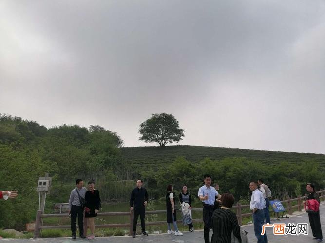 安徽养殖业国家扶持的项目有哪些 安徽正规养殖基地