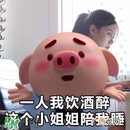 猪小屁多少钱一个？猪小屁哪里可以买到