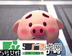 猪小屁多少钱一个？猪小屁哪里可以买到