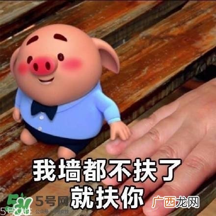 猪小屁多少钱一个？猪小屁哪里可以买到