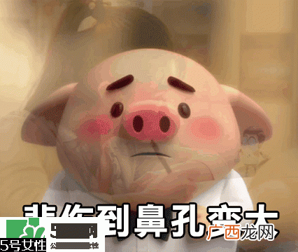 猪小屁多少钱一个？猪小屁哪里可以买到