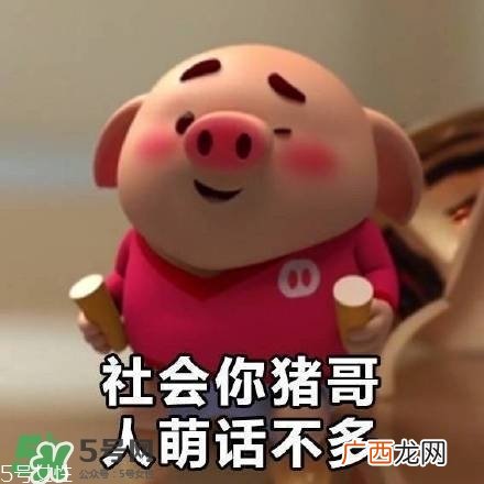 猪小屁多少钱一个？猪小屁哪里可以买到