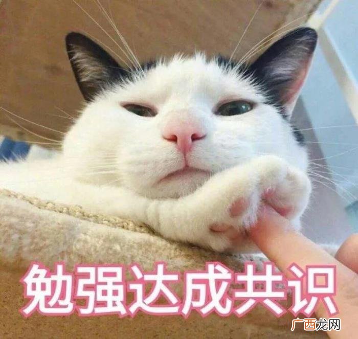 提出分手后后悔了应该挽回吗,主动提出分手后悔了