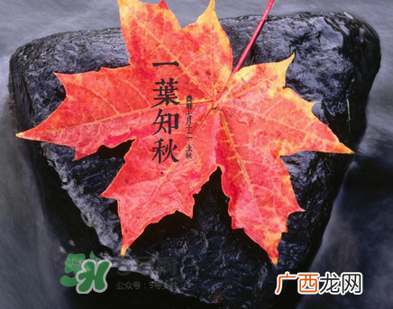 立秋后就是秋天了吗？立秋后就凉快了吗？