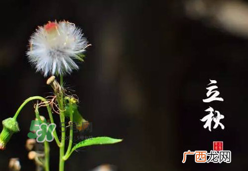 立秋后就是秋天了吗？立秋后就凉快了吗？
