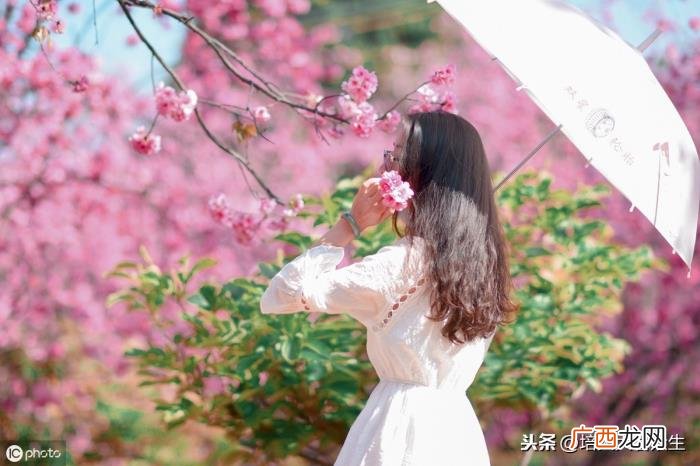 男生把你当哥们的表现,想和喜欢的男生处对象