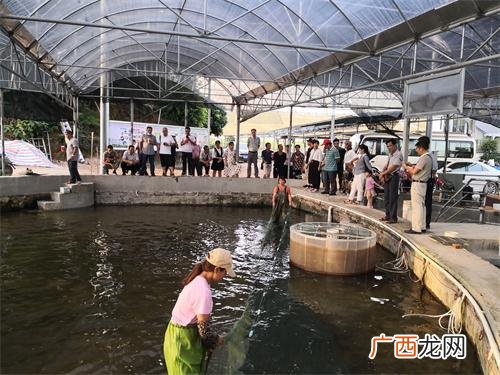 广西养殖基地 广西养殖种植