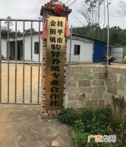 养鹅合作社 广西养殖种植合作社