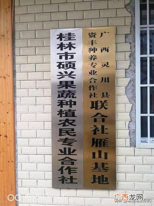 养鹅合作社 广西养殖种植合作社