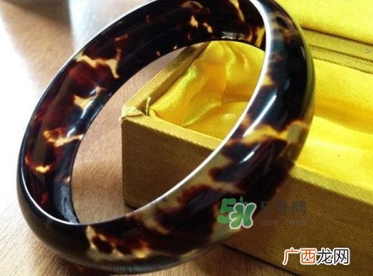 玳瑁标本有收藏价值吗？玳瑁的功效与作用