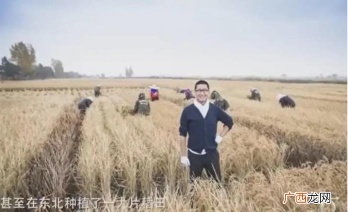 林心如事件是什么，起底周杰、林心如舌吻事件始末