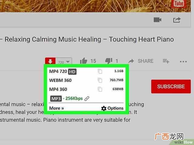 谷歌浏览器怎么看youtube？
