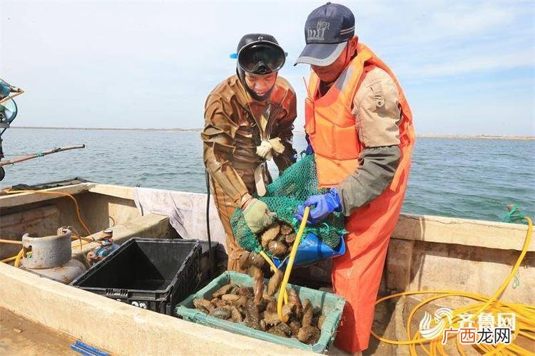 养海参50亩投资多少钱 海参在哪里养殖