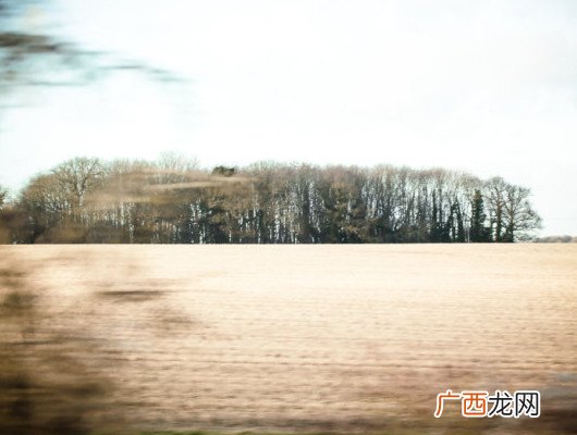 梦见牙齿松动或掉了是什么预兆？梦到自己掉牙是怎么回事