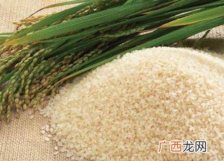 转基因是什么意思？美国人不吃转基因专卖中国人