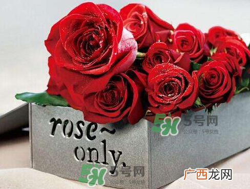 roseonly怎么看真假？roseonly真假对比