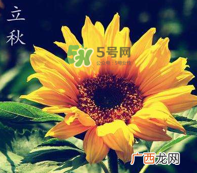立秋后是不是早晚天气凉？立秋后天气有什么变化？