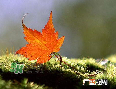 立秋后是不是早晚天气凉？立秋后天气有什么变化？