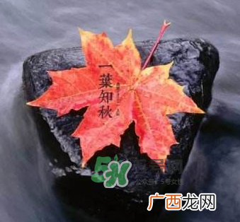 立秋后是不是早晚天气凉？立秋后天气有什么变化？
