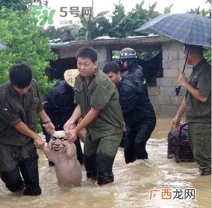 网红小猪表情包为什么火了？网红小猪表情包怎么火的？