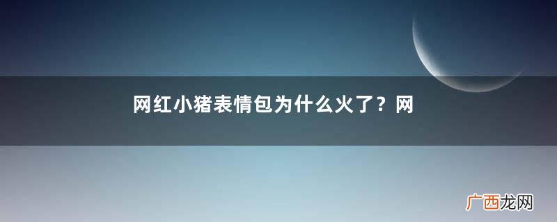 网红小猪表情包为什么火了？网红小猪表情包怎么火的？