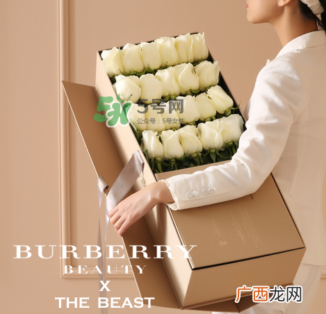 野兽派是什么品牌？野兽派是哪个国家的？