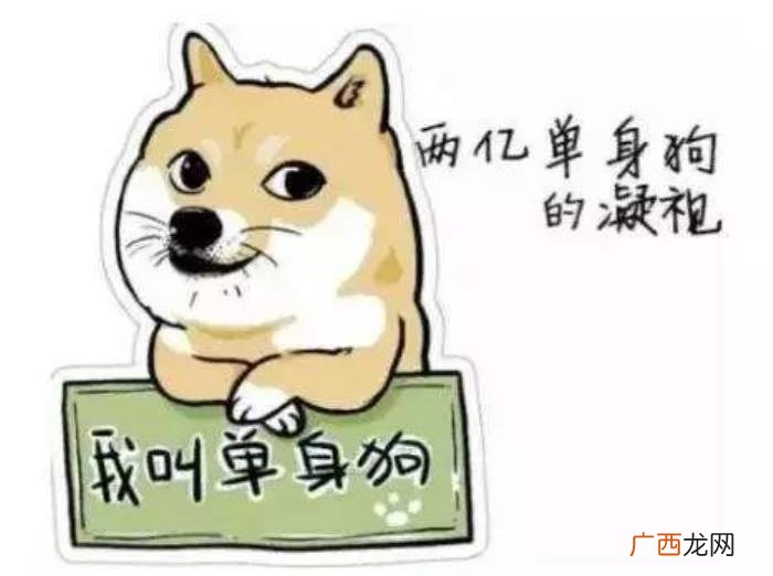 单身也是情人节的正确打开方式 单身情人节
