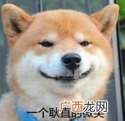 微信怎么加人又快又多？快速引爆流量