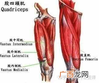 老年人膝关节疼痛是怎么回事（这样训练绝对有