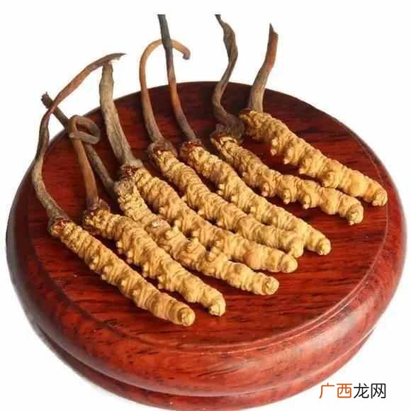 这5种吃法效果最好 冬虫夏草怎么吃最补